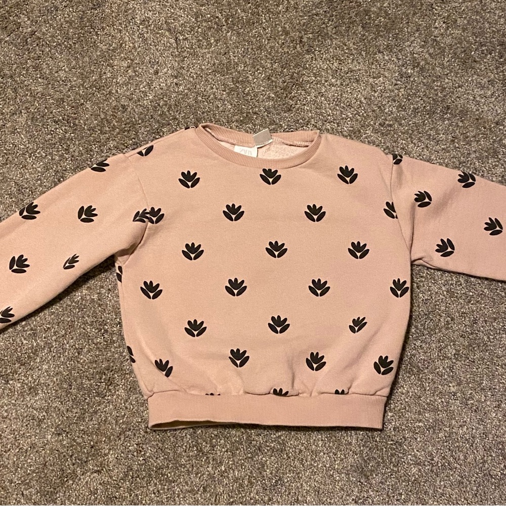 Zara toddler 3-4 sweatshirt